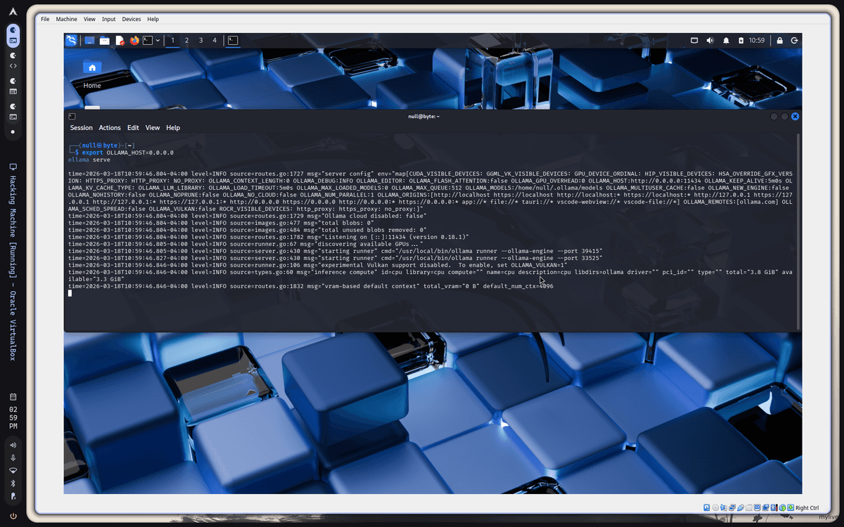 Target server Go runtime panic output
